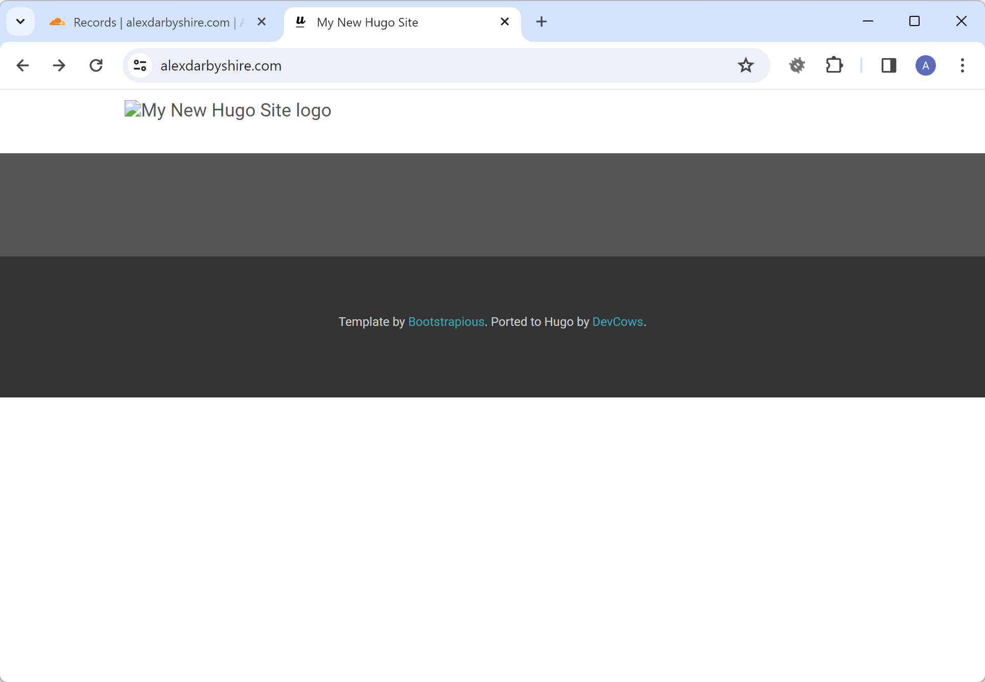 Success - Website showing in Browser