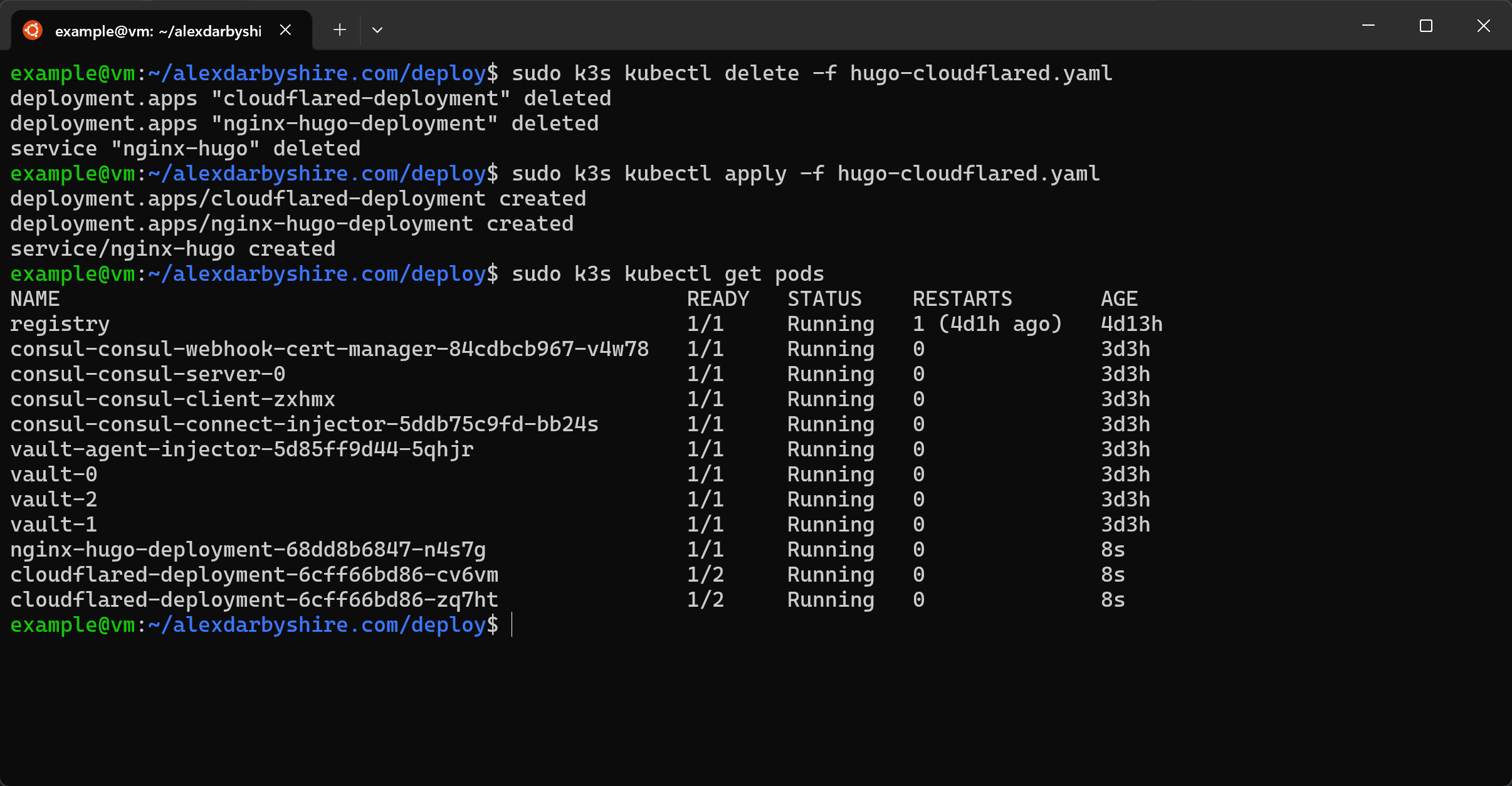 Apply and check hugo cloudfared manifest