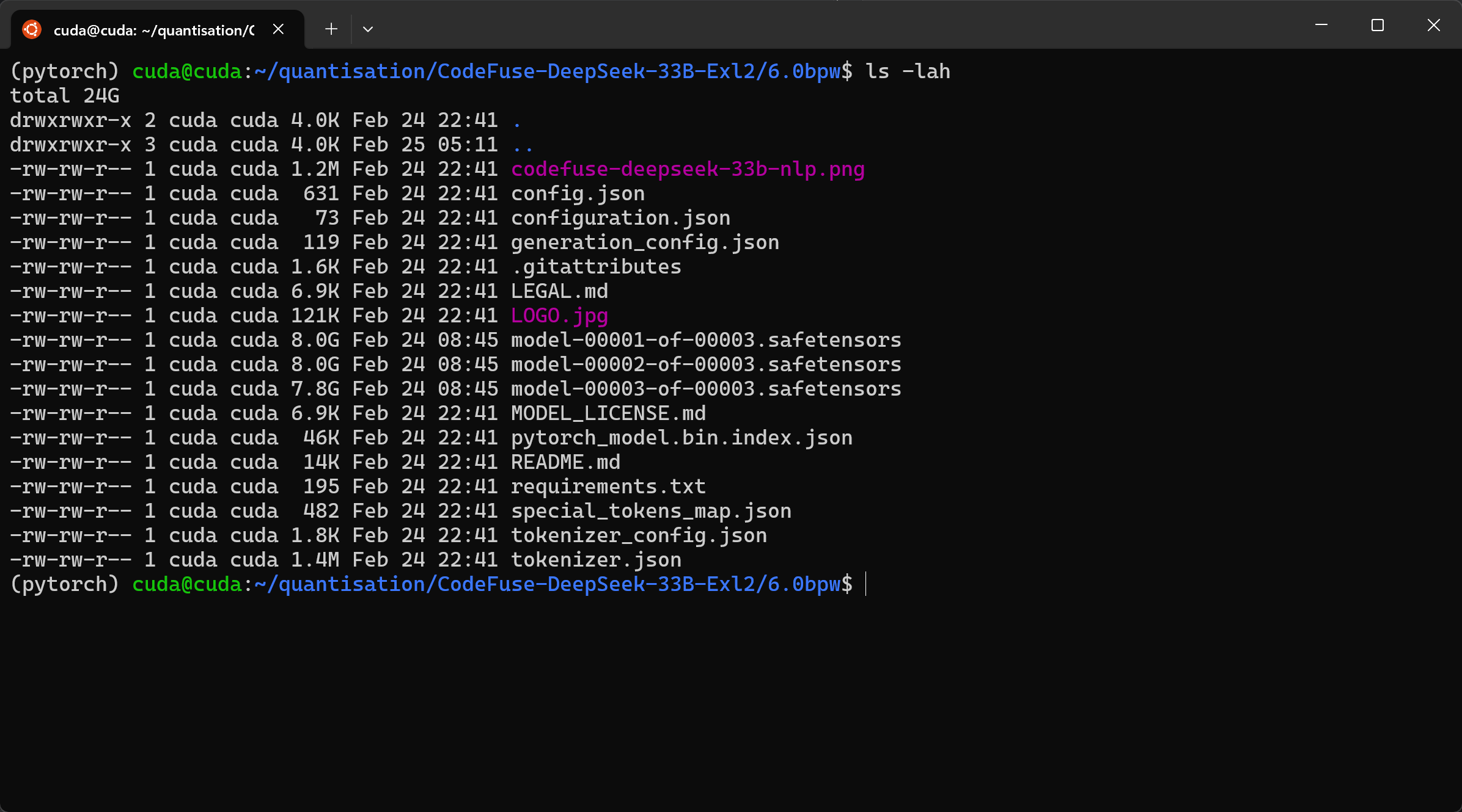 Screenshot of Directory Containing Quantised Model