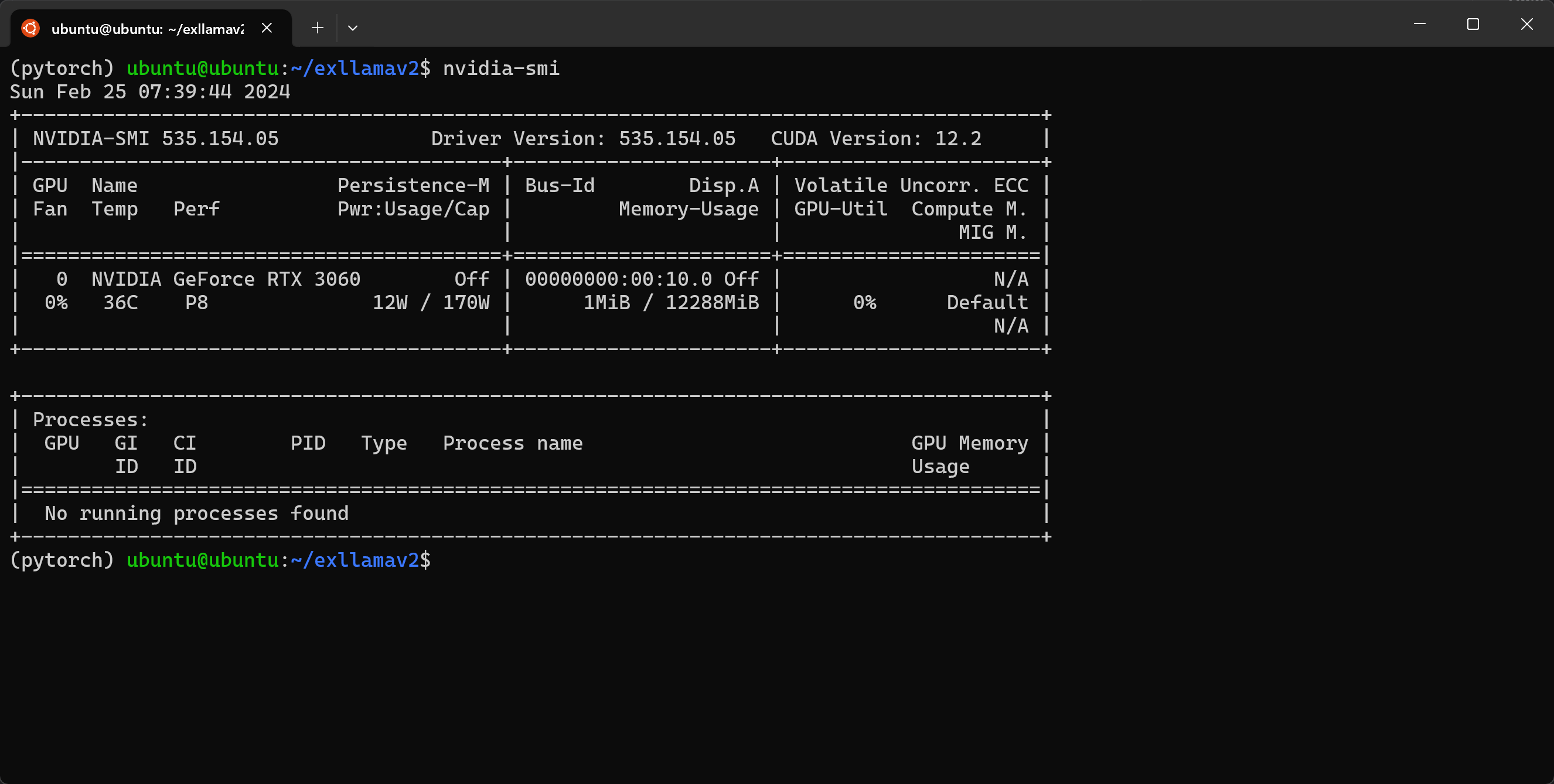 nvidia-smi command showing one GPU