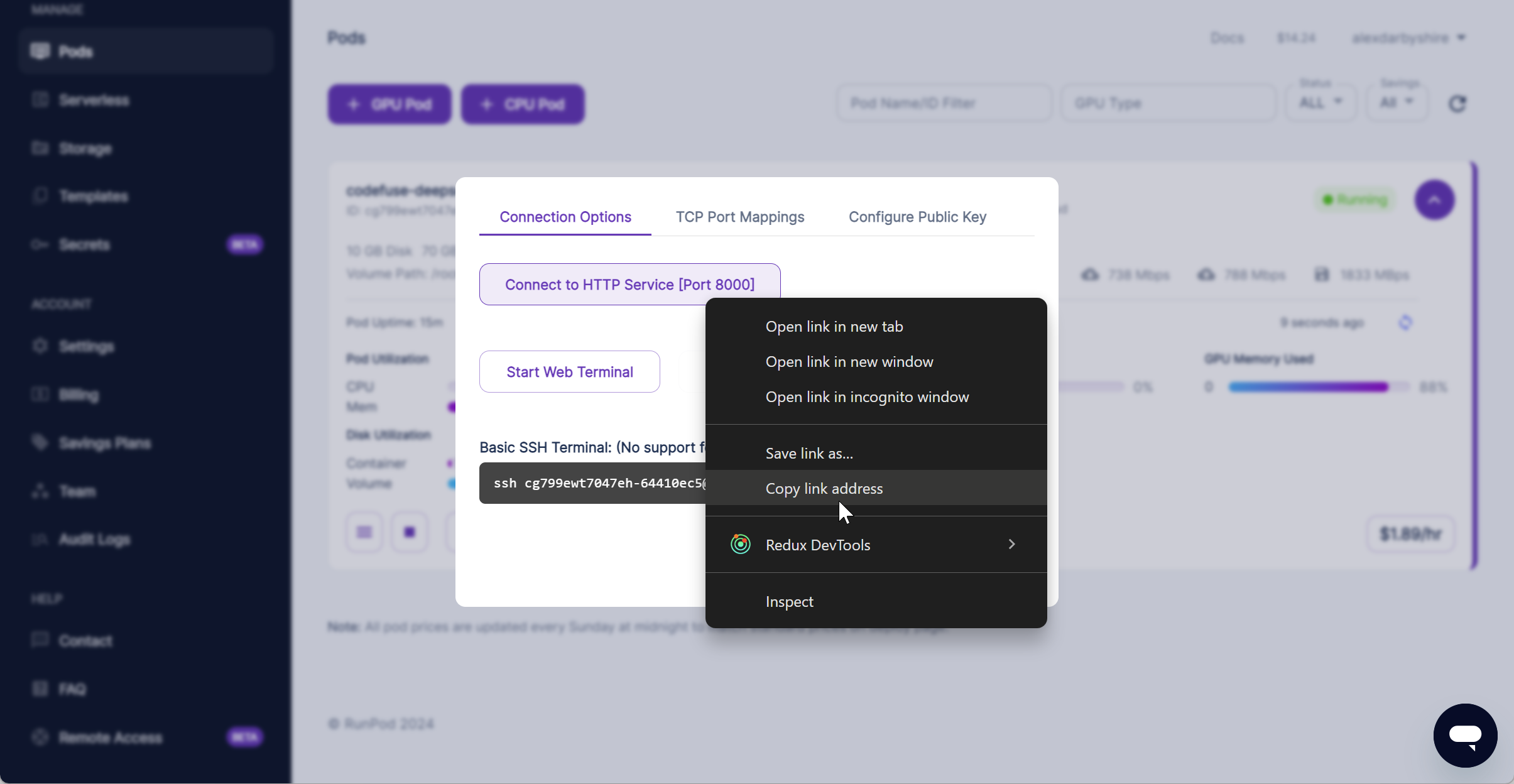 Get Container’s API URL on RunPod