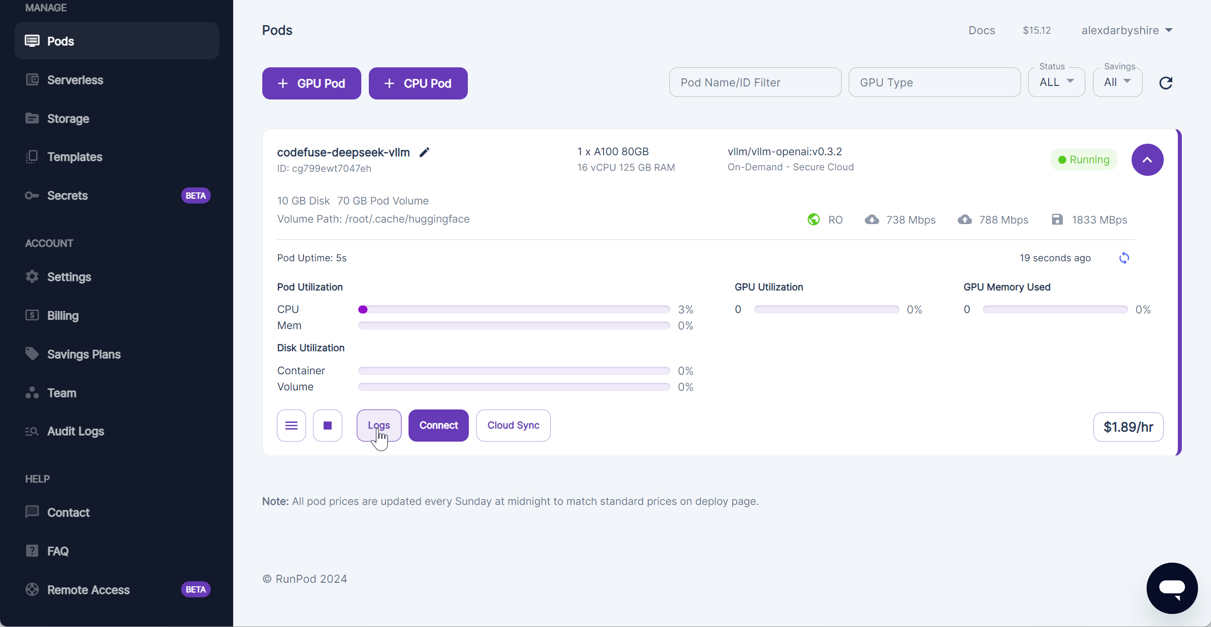 Click Logs on RunPod