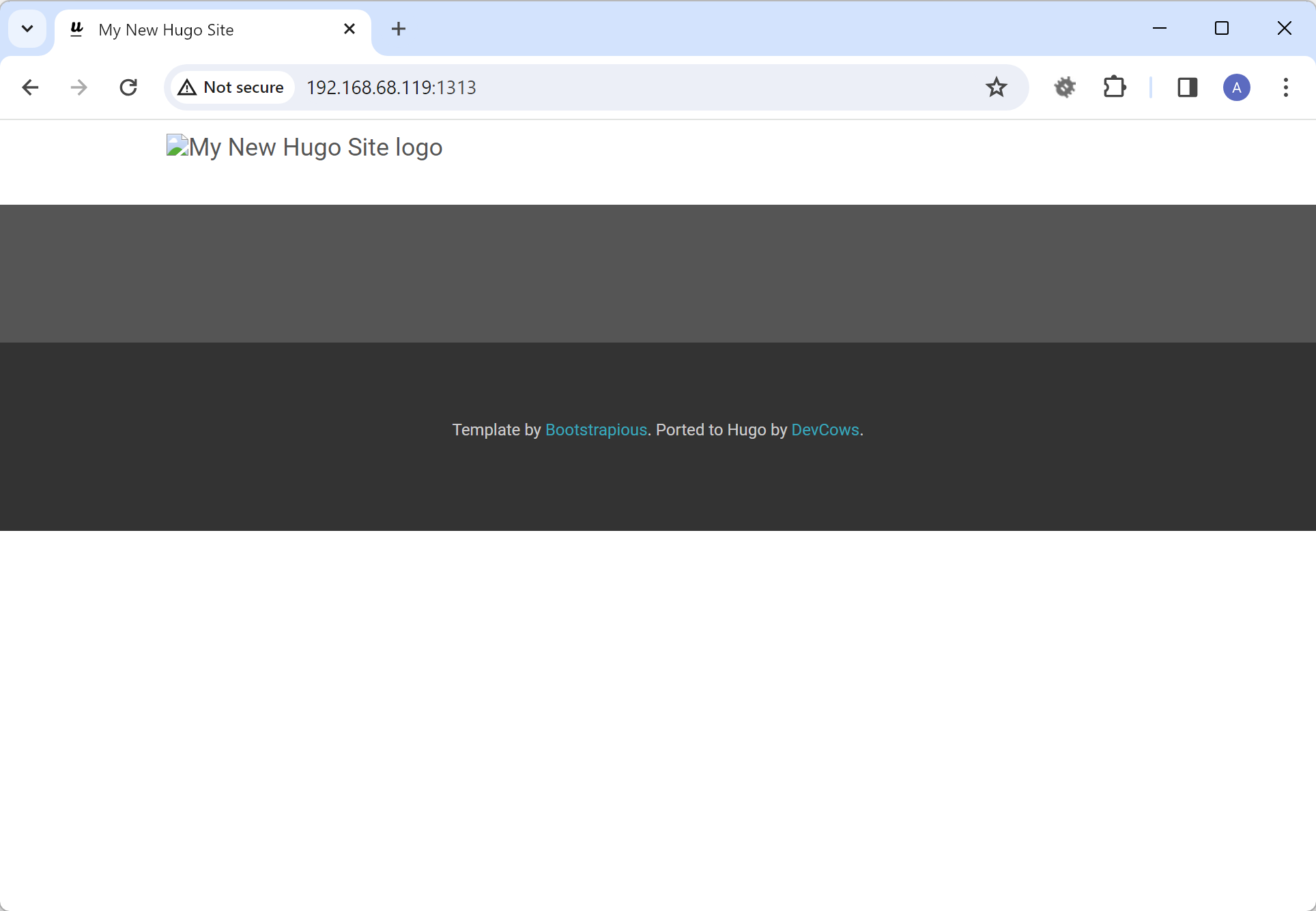 Test the Site - Browser